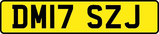 DM17SZJ