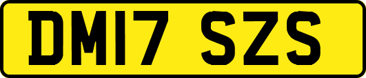 DM17SZS