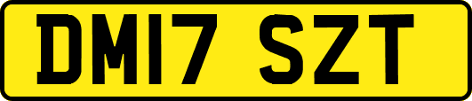 DM17SZT