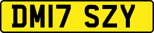 DM17SZY