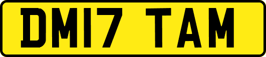 DM17TAM