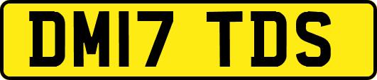 DM17TDS