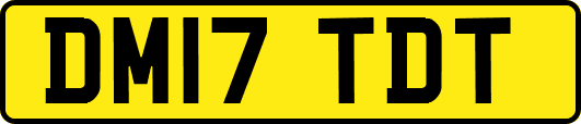DM17TDT