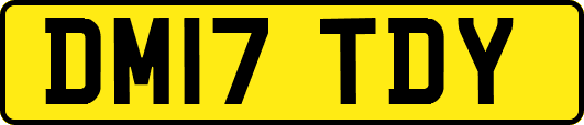 DM17TDY