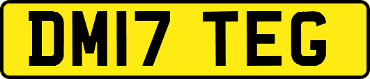DM17TEG
