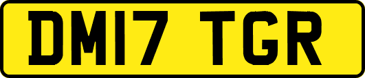 DM17TGR