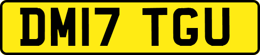 DM17TGU