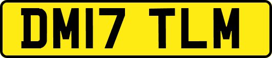 DM17TLM