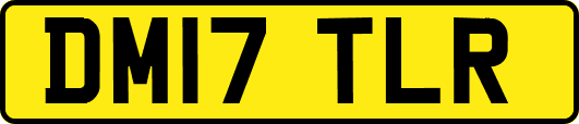 DM17TLR