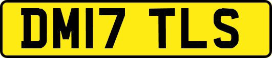 DM17TLS
