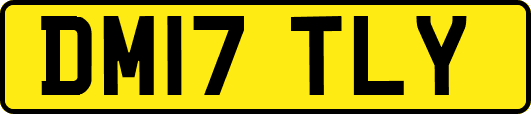 DM17TLY
