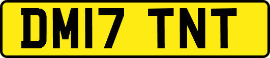 DM17TNT