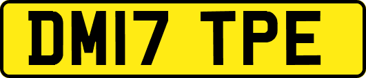DM17TPE