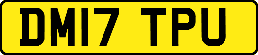 DM17TPU
