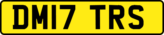 DM17TRS