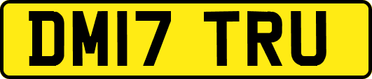 DM17TRU
