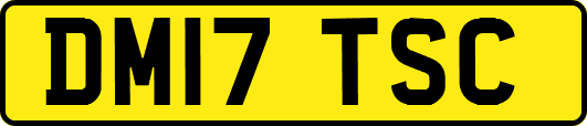 DM17TSC