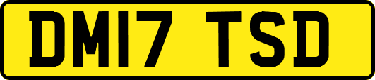 DM17TSD