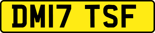 DM17TSF