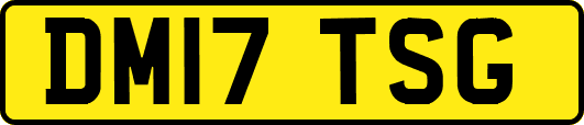 DM17TSG