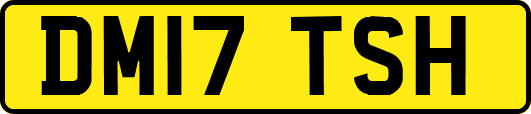 DM17TSH