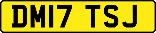 DM17TSJ