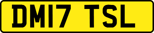 DM17TSL