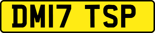 DM17TSP