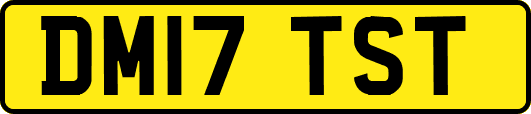 DM17TST