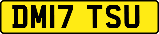 DM17TSU