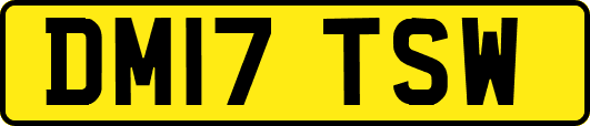 DM17TSW