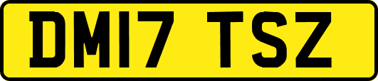 DM17TSZ