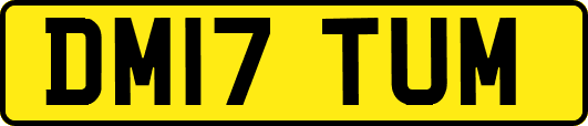 DM17TUM
