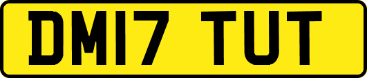 DM17TUT