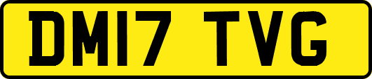 DM17TVG
