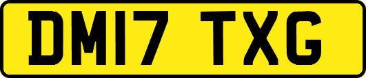 DM17TXG