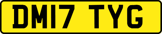 DM17TYG