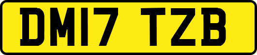 DM17TZB