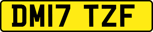DM17TZF