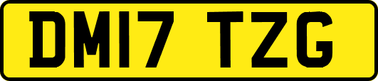 DM17TZG