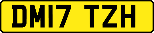 DM17TZH