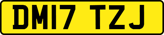 DM17TZJ