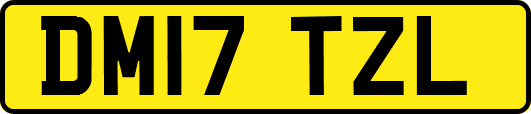 DM17TZL
