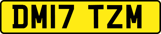 DM17TZM