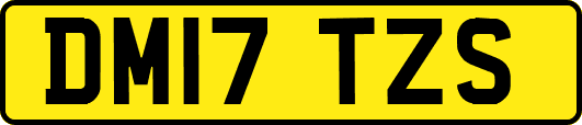DM17TZS