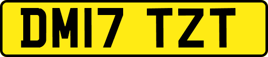 DM17TZT