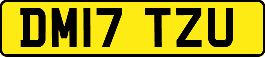 DM17TZU