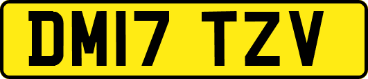 DM17TZV