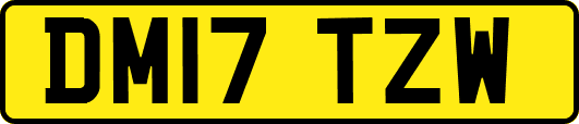 DM17TZW