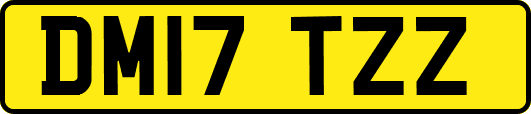 DM17TZZ